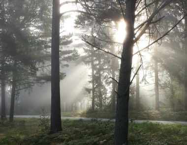 Klicka hr fr att se bilden i fullstorlek